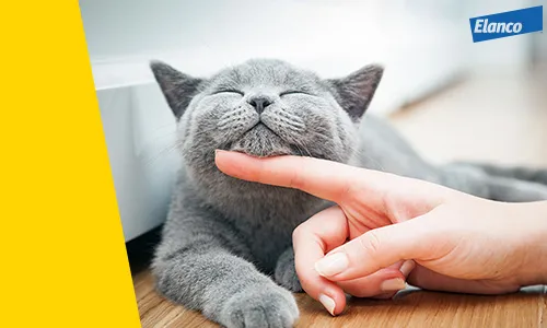 AdTab Žvýkací tablety pro kočky - k dispozici v tabletách s různou silou, v závislosti na hmotnosti kočky