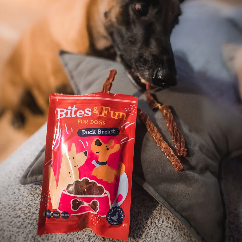 Akinu BITES & FUN Kachní prsíčka pamlsek pro psy 10 x 85 g