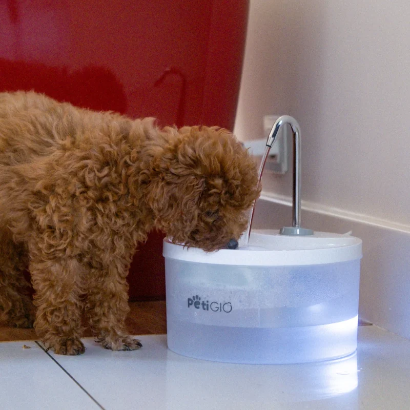 PetiGIO peti-to-Drink automatická fontána pro domácí mazlíčky plast s LED osvětlením