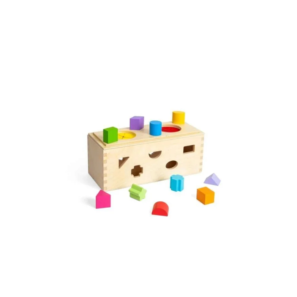 Bigjigs Toys Vkládání Tajemná krabička 11 ks