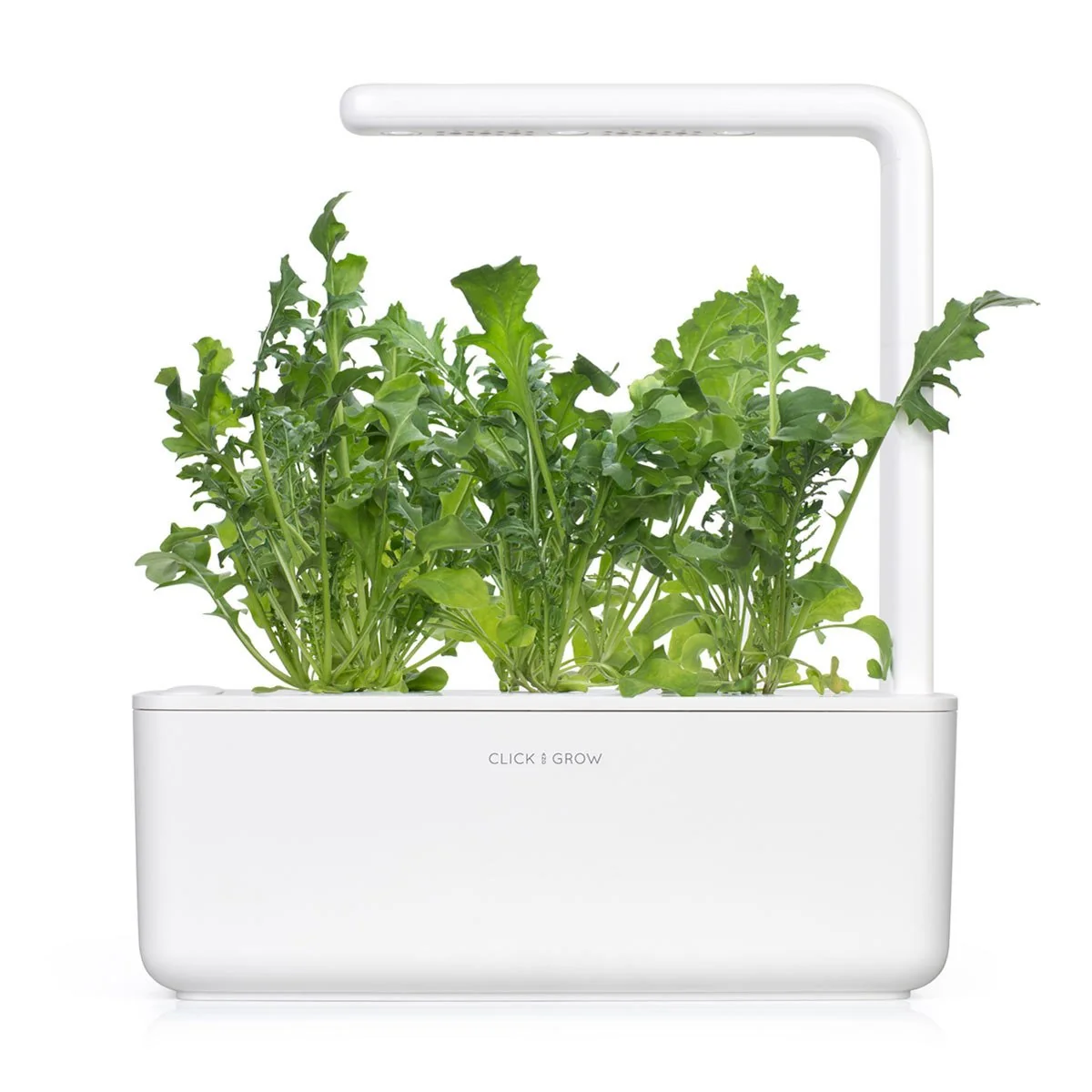 Click & Grow Náplň pro chytré květináče 3 ks - rukola