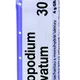 Boiron LYCOPODIUM CLAVATUM CH30 granule 4 g