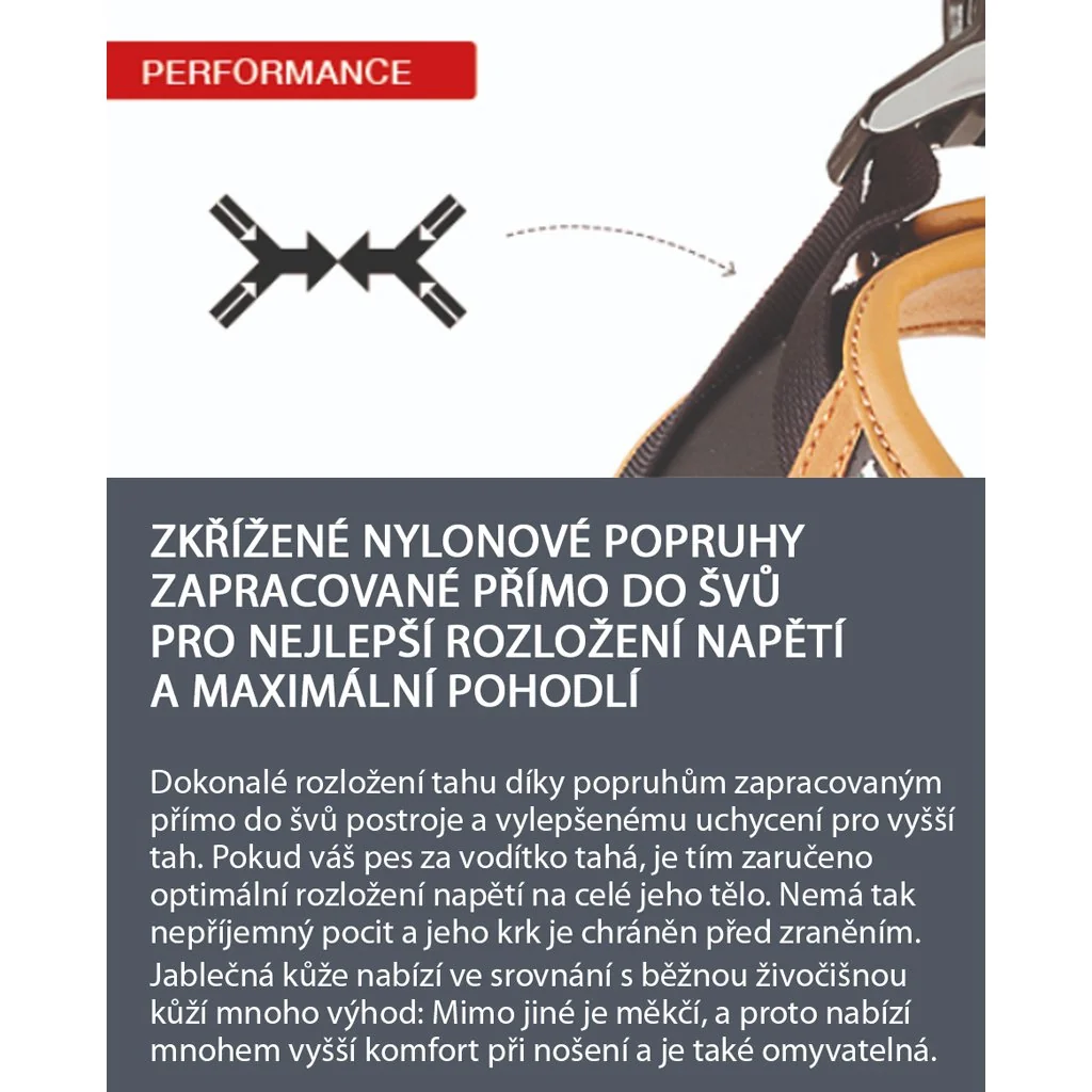 Curli Postroj pro psy z jablečné kůže Black M, 6-9 kg