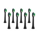 Truelife SonicBrush Compact Heads Standart Black náhradní hlavice 8 ks