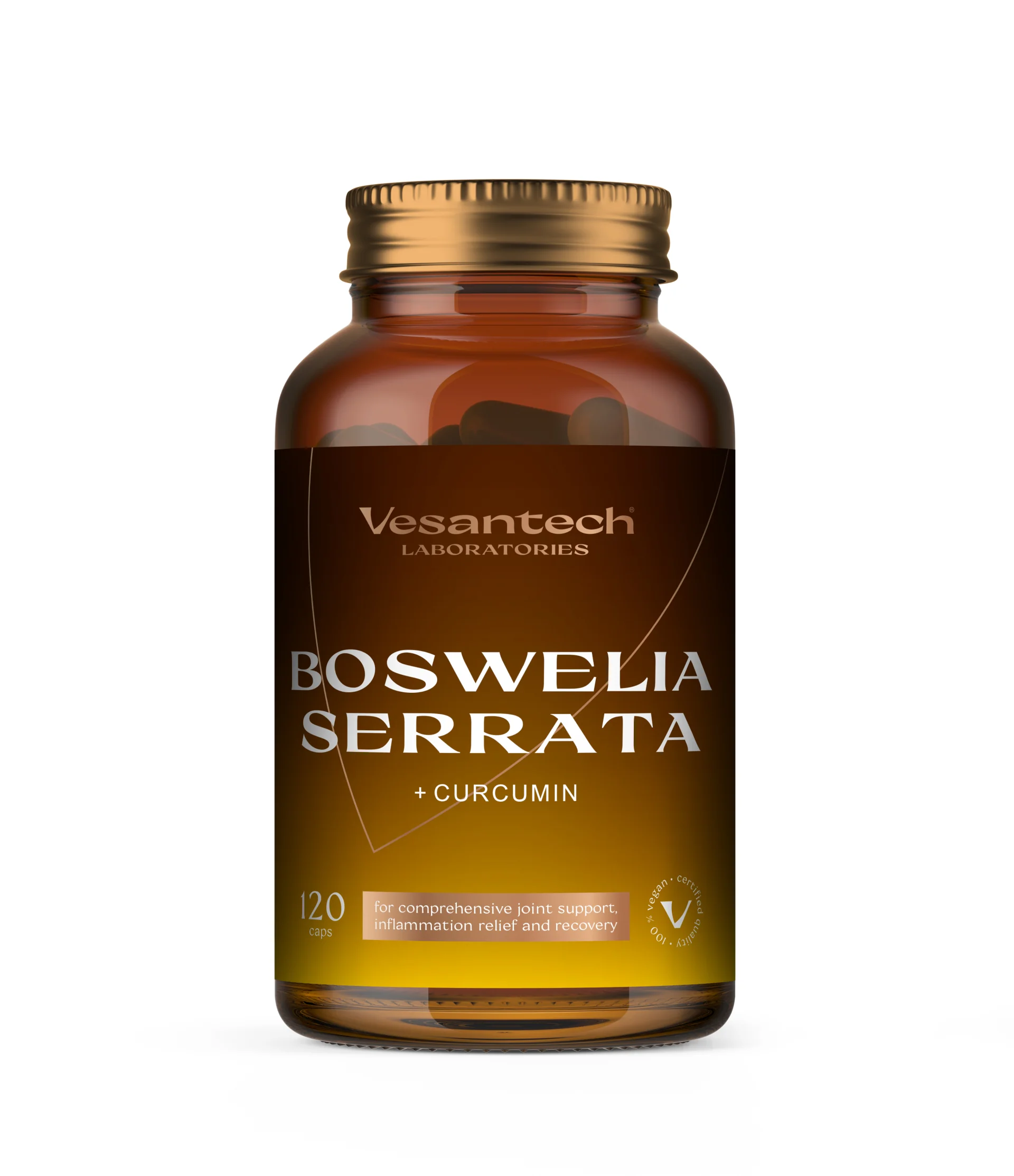 Zdravý svet Vesantech Boswellia serrata 120 kapslí
