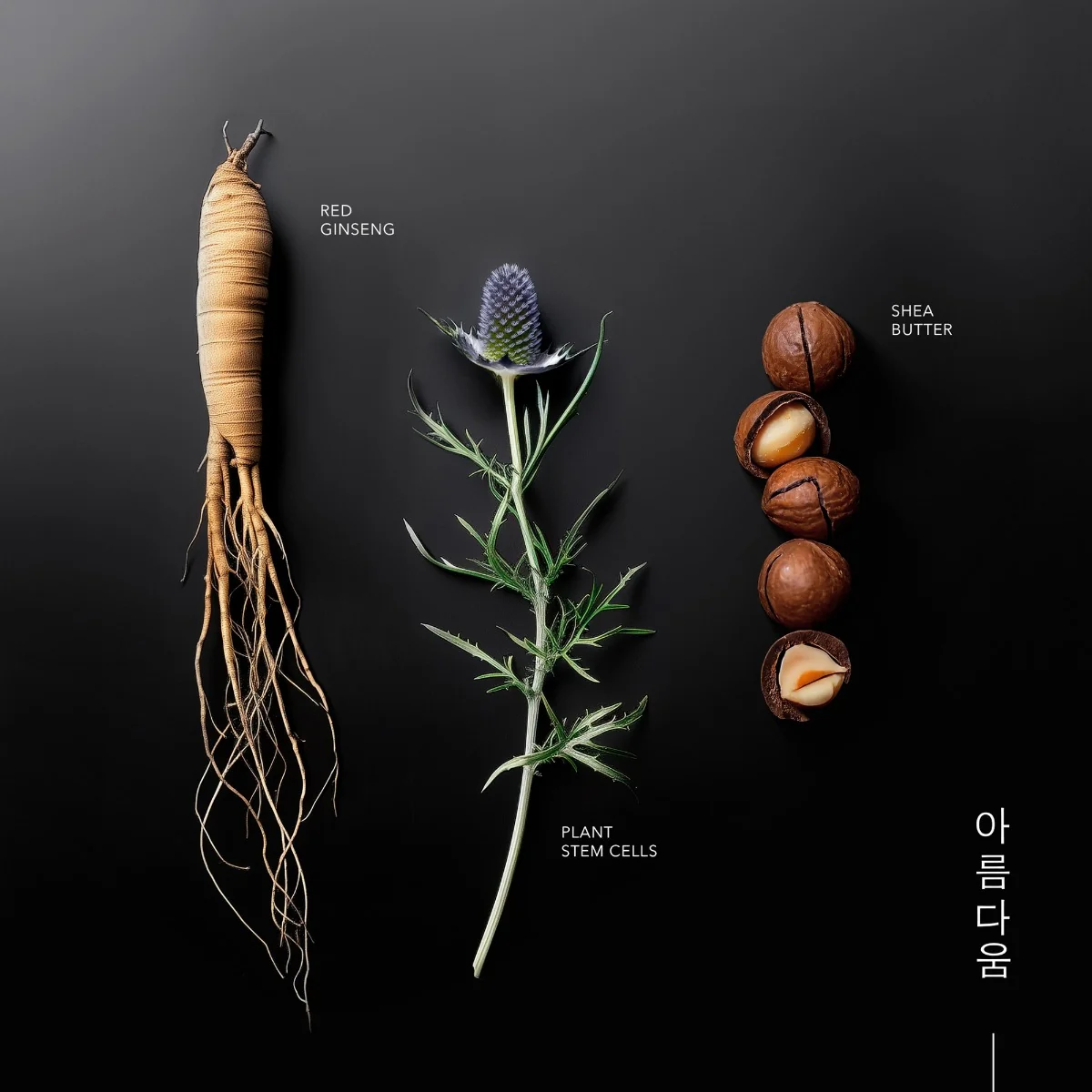 KORIKA Korean Heritage Youth Elixir zpevňující pleťový krém 50 ml