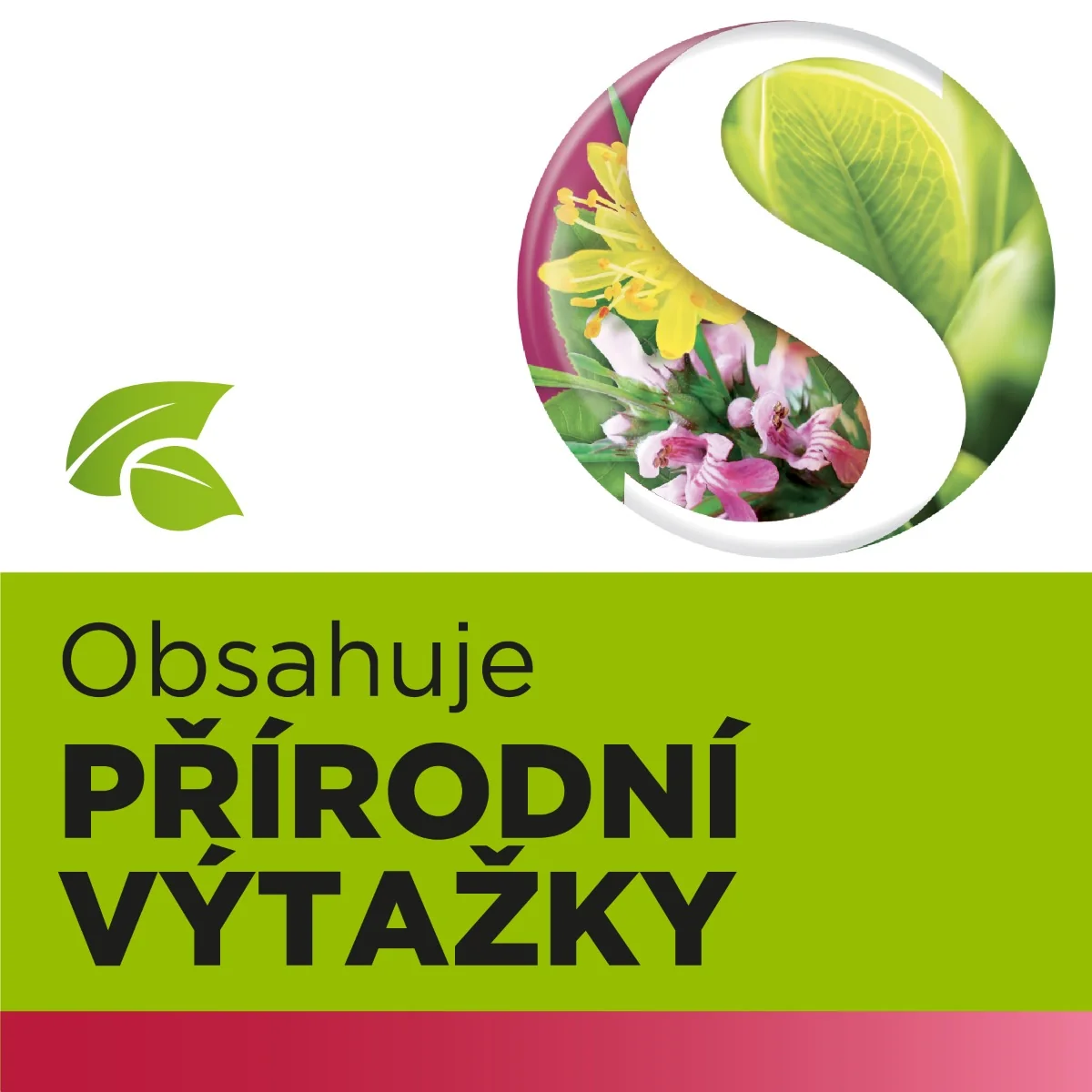 StrepHerbal Junior 24 pastilek
