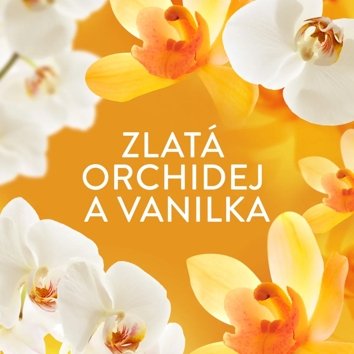 Lenor Vonné perličky Gold Orchid & Vanilla 495 g