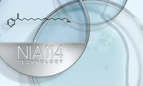 NIA-114™ je patentovaná optimalizovaná forma niacinu neboli vitaminu B3. NIA-114™ je patentovaná optimalizovaná forma niacinu neboli vitaminu B3.