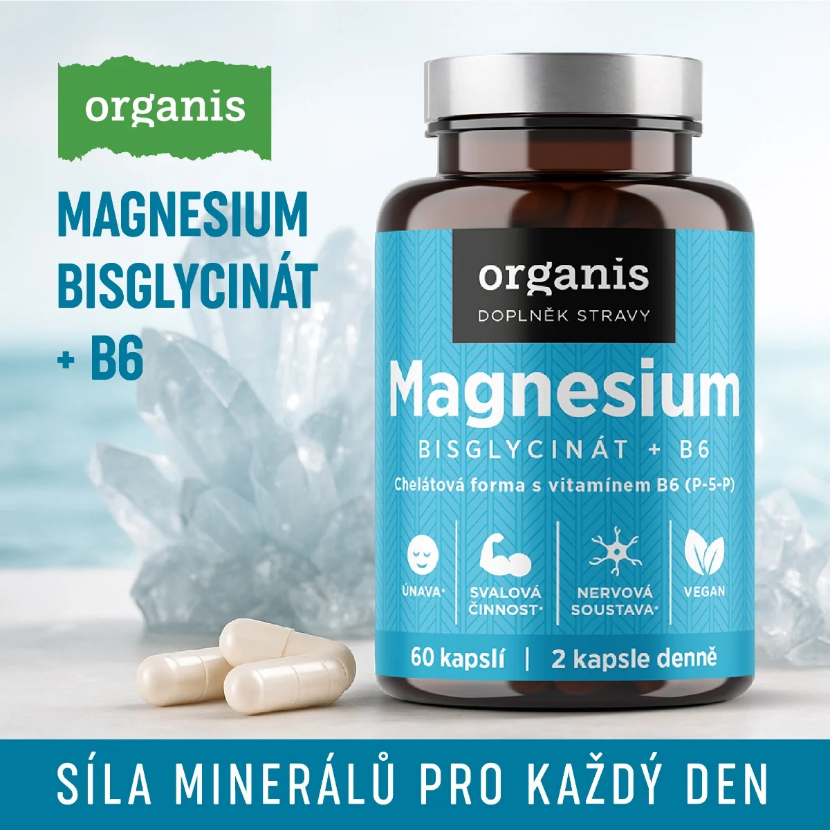 Organis Magnesium Bisglycinát + B6 60 kapslí