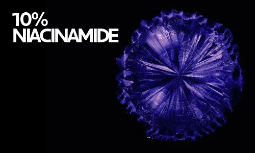 10% niacinamide 10% niacinamide