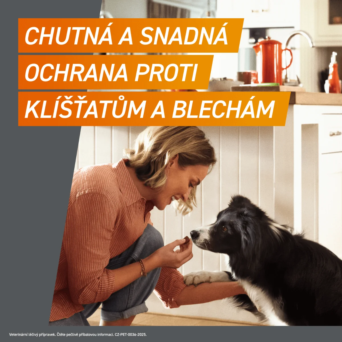 FRONTPRO Žvýkací tablety pro psy 10–25 kg 68 mg 3 tablety