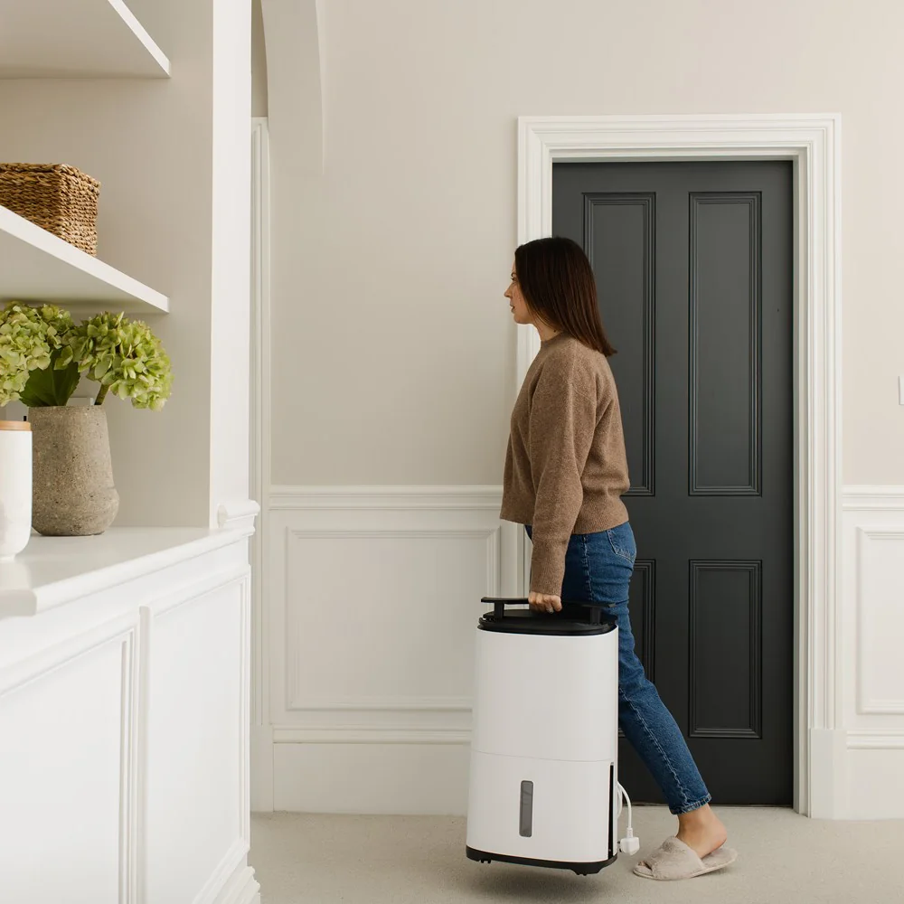 Meaco Odvlhčovač s čističkou vzduchu Dry Arete® One 20 L
