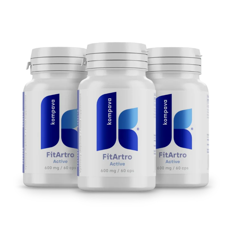 KOMPAVA Fit Artro Aktiv 600 mg/60 kps
