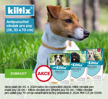 Kiltix (duben 2024)