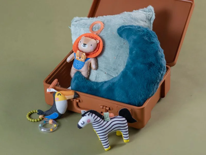 Taf Toys Chrastítko zebra Dizi 1 ks