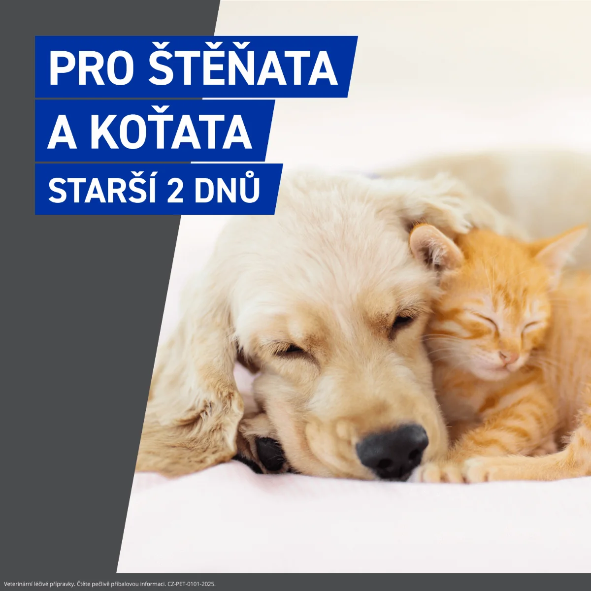 FRONTLINE SPRAY 2,5 mg/ml kožní sprej roztok 250 ml