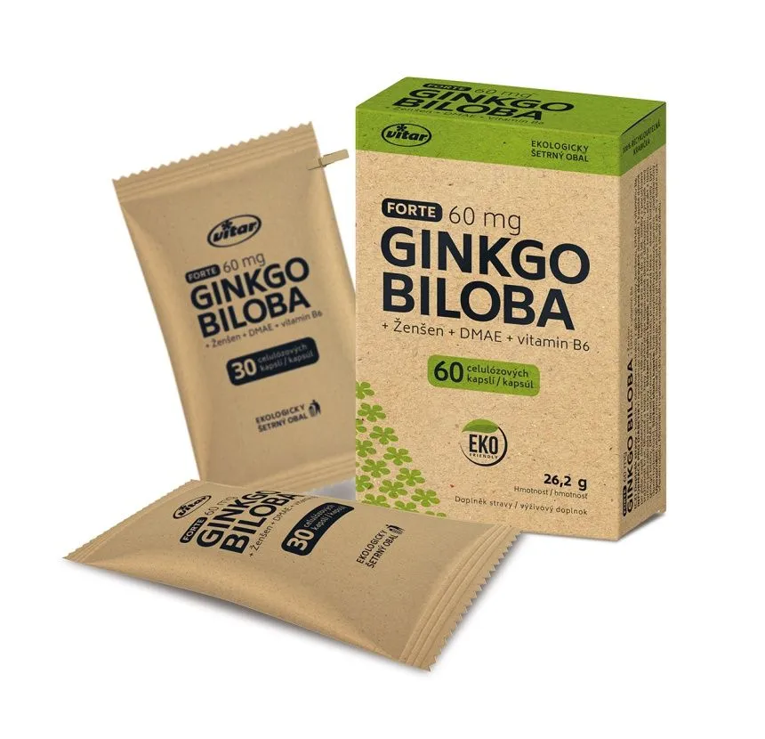 Vitar Ginkgo biloba 60 mg + DMAE + vitamin B6 EKO 60 kapslí