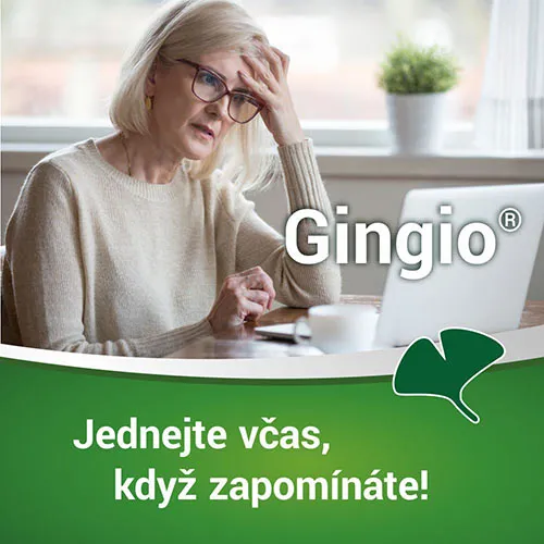 Gingio 40 mg 90 potahovaných tablet