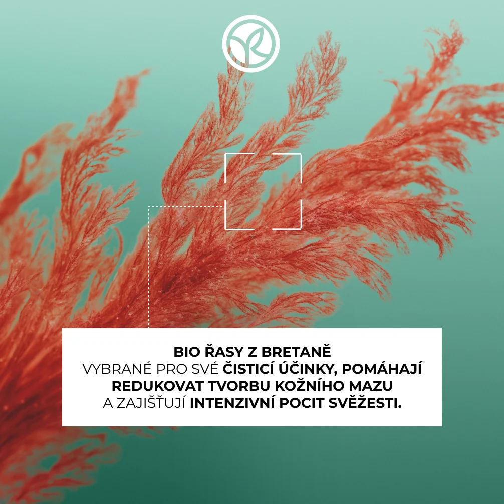 Yves Rocher Haircare Botanical Solutions Detoxikační šampon 600 ml