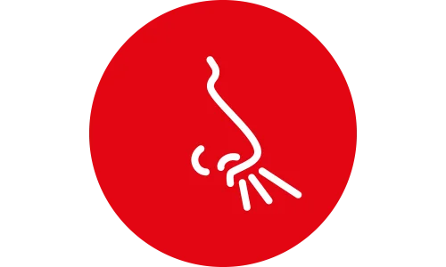 piktogram