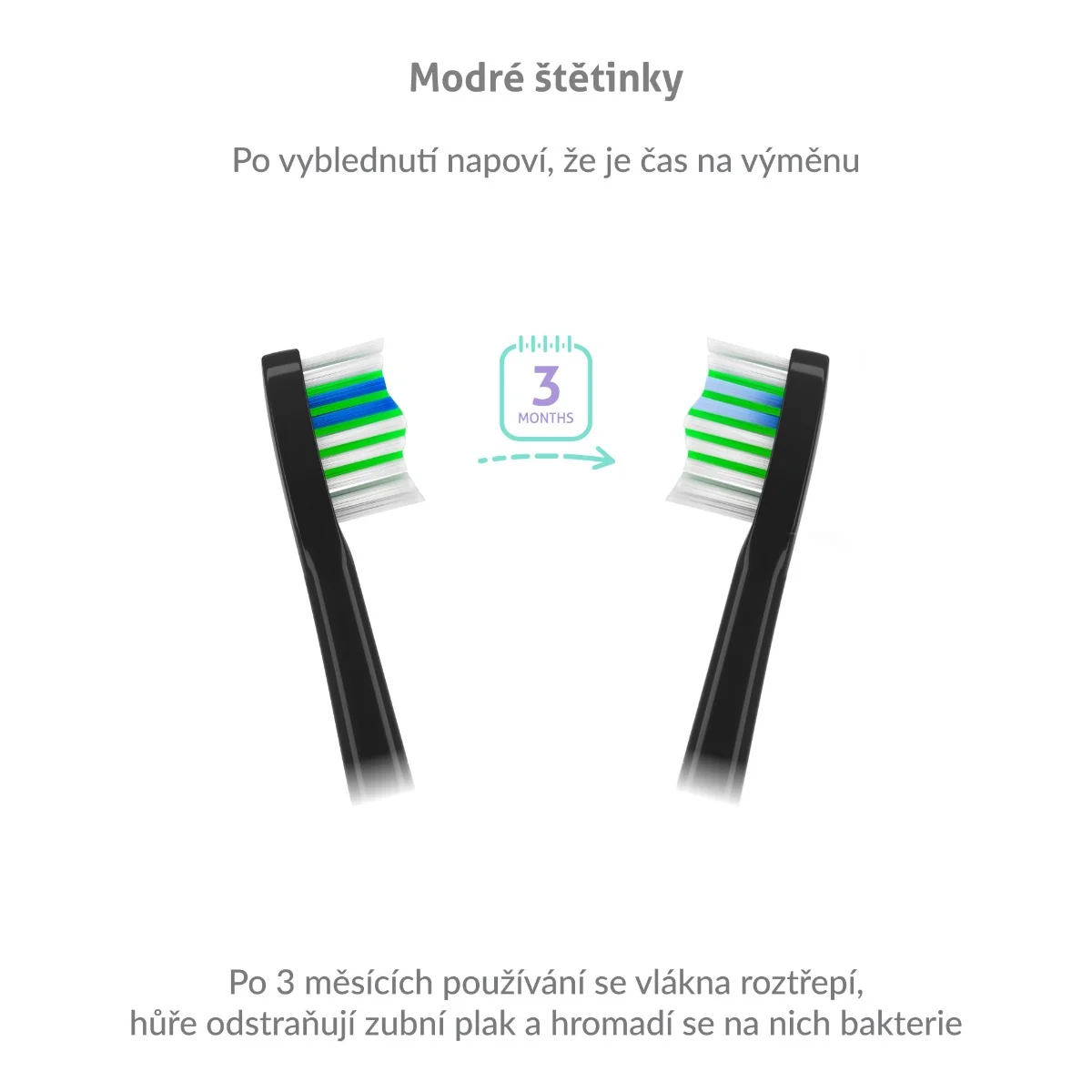 Truelife SonicBrush Compact Heads Standart Black náhradní hlavice 8 ks