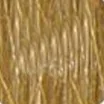 Radico Přírodní barva na vlasy BIO béžová blond 100 g