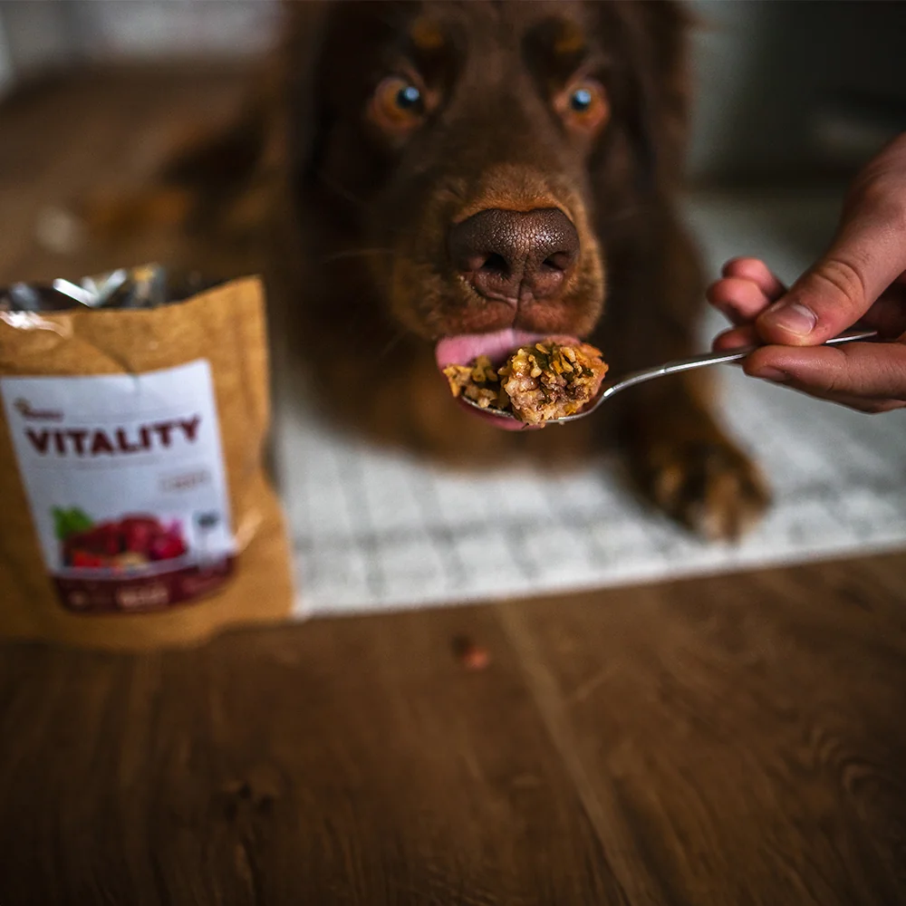 Akinu VITALITY na cesty hovězí pro psy 3 x 300 g
