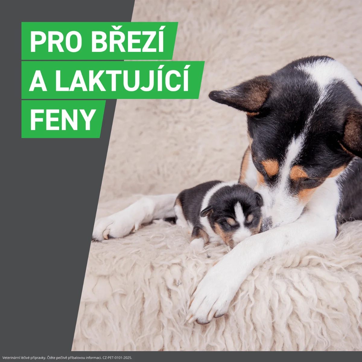 FRONTLINE COMBO pro psy 2–10 kg (S) 3 pipety
