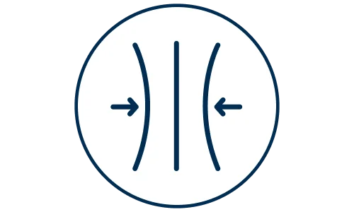 ikona
