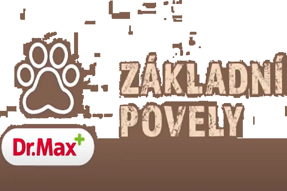 Základní povely v komunikaci s pejskem