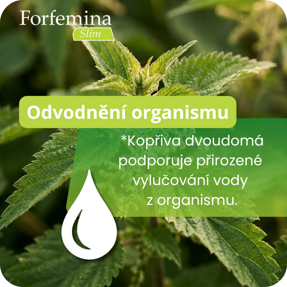 Forfemina Slim 75 kapslí