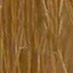 Radico Přírodní barva na vlasy BIO šampaňská blond 100 g