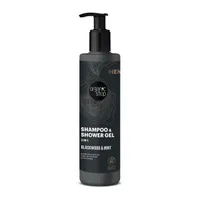 Organic Shop Pánský sprchový gel a šampon 2v1 Blackwood a máta